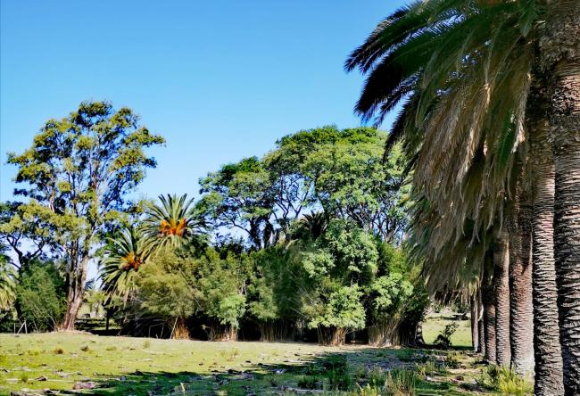 Rincones por descubrir